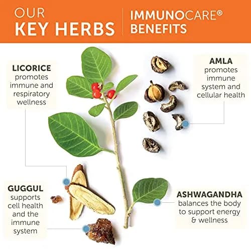 Himalaya ImmunoCare, Immune Support Supplement, 840 mg | Supports immune health with Ayurvedic herbs thumbnail 4