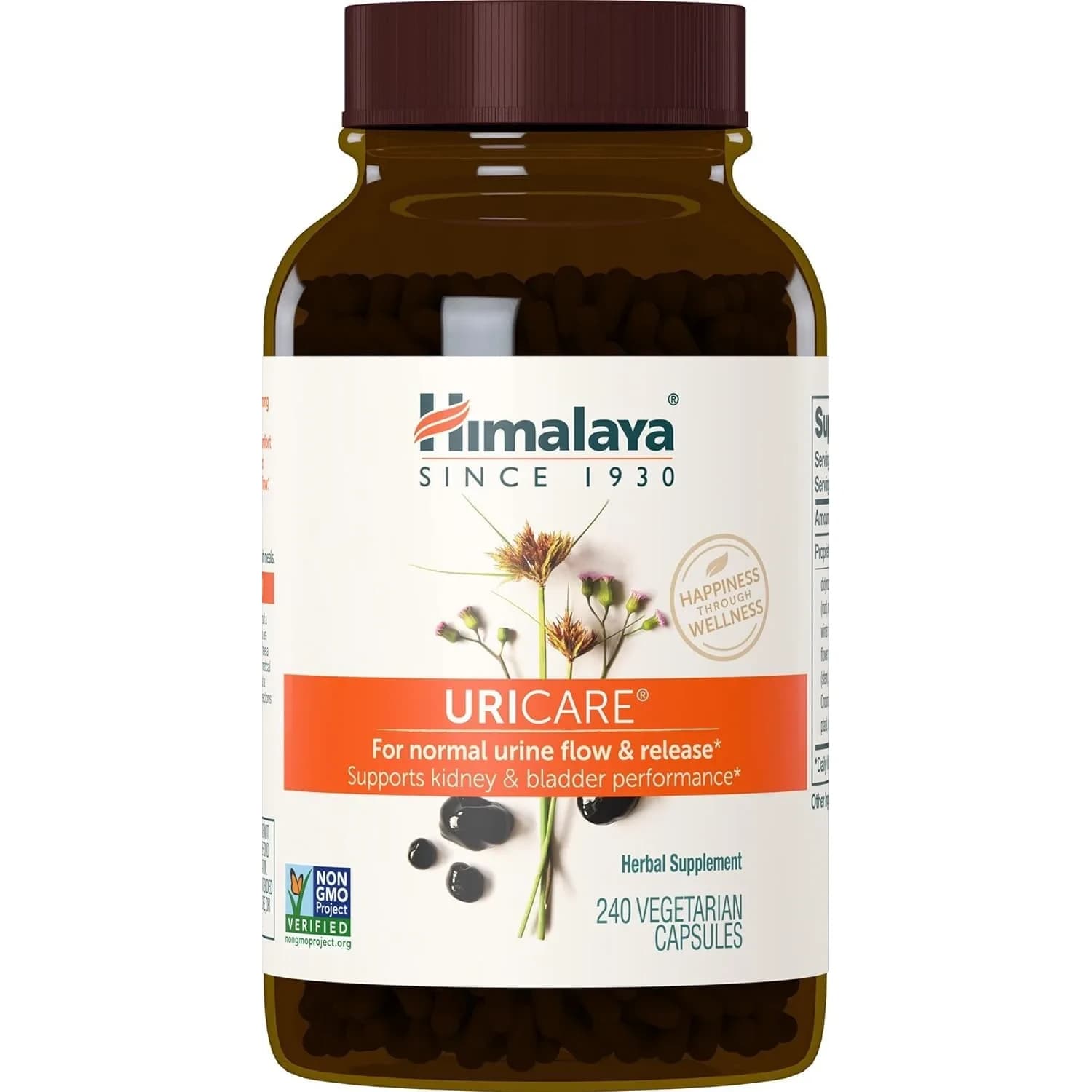 Himalaya UriCare Herbal Supplement 240 Capsules (60 Day Supply) | Kidney & Bladder Support — No flavor
