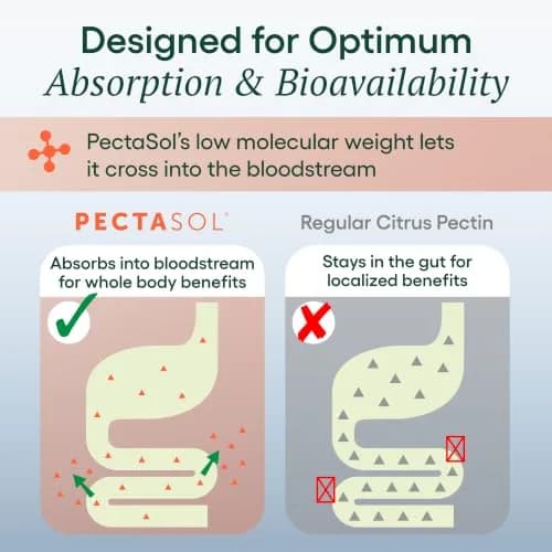 EcoNugenics PectaSol Modified Citrus Pectin Powder 150g | Cellular & Immune Support thumbnail 6