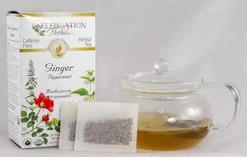 Celebration Herbals Ginger Peppermint Tea 24 Count | Caffeine-Free Herbal Blend with Natural Goodness thumbnail 3