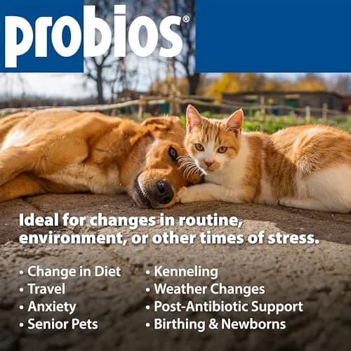 Probios Dog Probiotic Soft Chews, Chicken Liver | Supports Digestive & Immune Health thumbnail 6