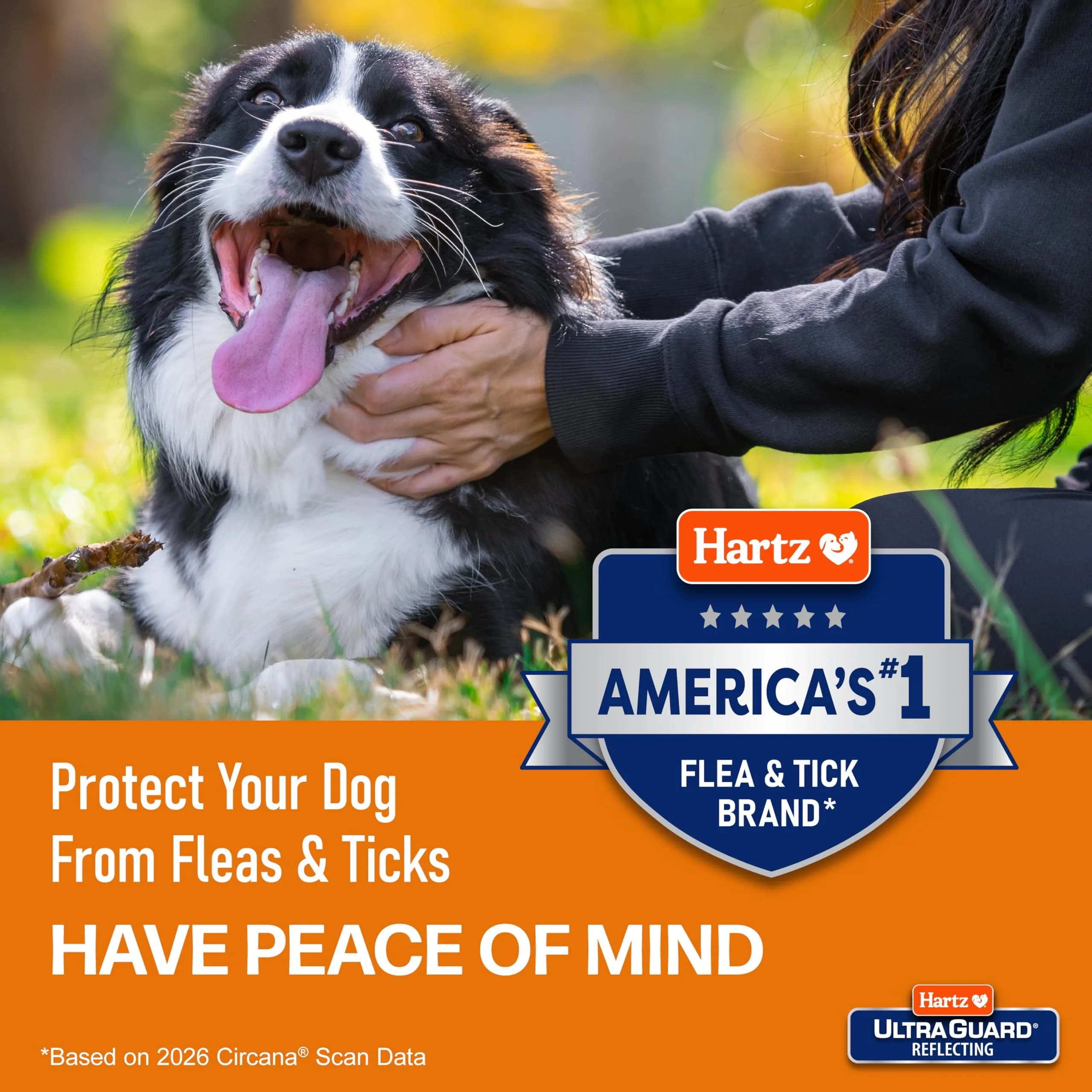 Hartz UltraGuard Plus Flea & Tick Home Spray - 16 Fl Oz | EPA-Registered Home Insecticide - view 4