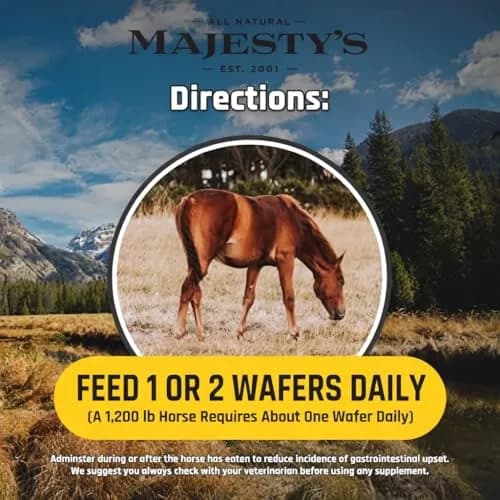 Majesty's Flex Wafers - Superior Joint Support Supplement for Horses - 30 Count | Easy & Economical thumbnail 5