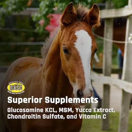 Majesty's Flex Wafers - Superior Joint Support Supplement for Horses - 30 Count | Easy & Economical thumbnail 6
