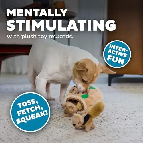 Outward Hound Hide-A-Squirrel Plush Squeaky Dog Toy Small 5" x 7" | Interactive Puzzle Toy for Dogs & Puppies thumbnail 4