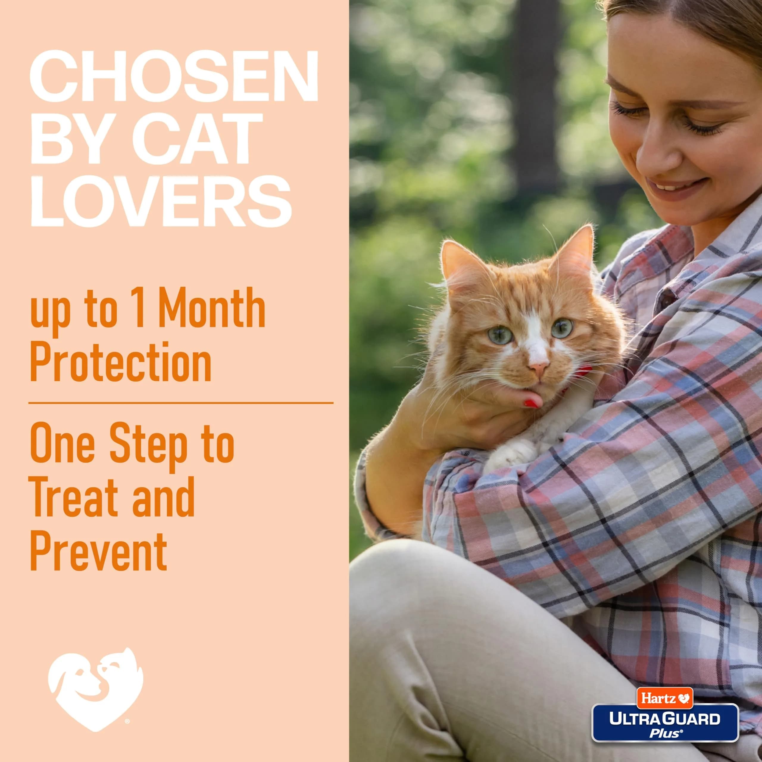 Hartz UltraGuard Plus Flea & Tick Spray for Cats, 8 Fl Oz - Effective Home Insecticide - view 4
