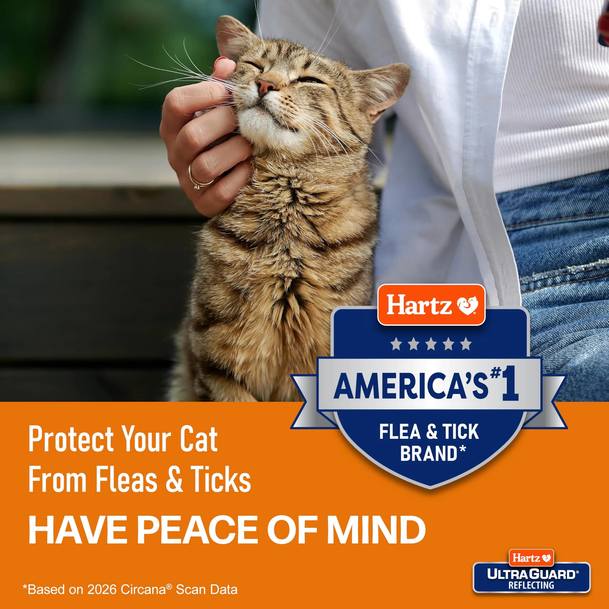 Hartz UltraGuard Plus Flea & Tick Spray for Cats, 8 Fl Oz - Effective Home Insecticide - view 3