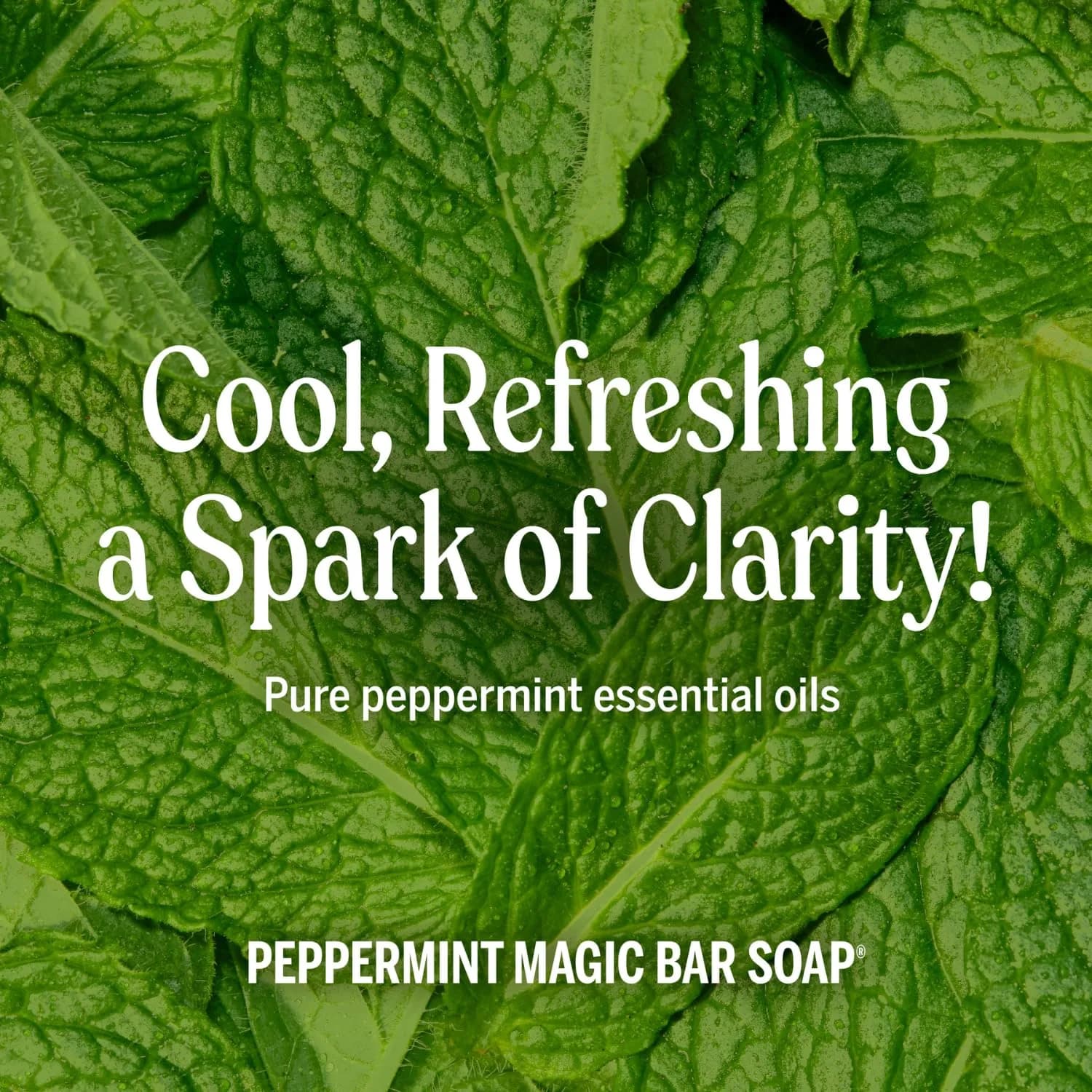 Dr. Bronner's Peppermint Pure-Castile Liquid Soap 237ml (8 Fl Oz) | Gentle Multi-Use Body Wash & Cleanser - view 5