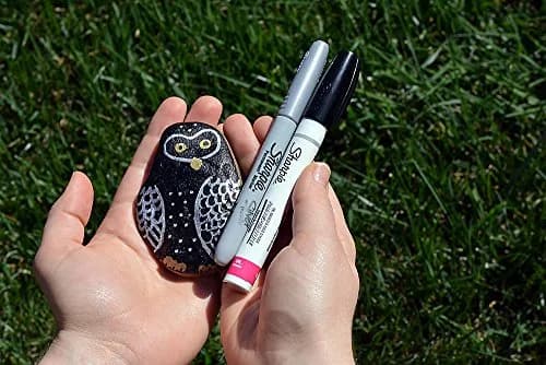 Sharpie Oil-Based Paint Markers Medium Tip Gold & Silver (2 Count) | AP Certified Non-Toxic thumbnail 5