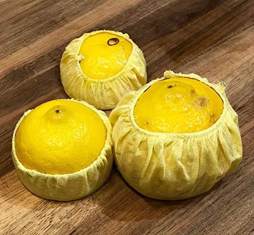 Fox Run Lemon Bags Set of 18 | Yellow Cotton Covers with Elastic Tops for Seed-Free Juicing thumbnail 4