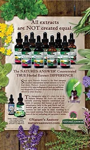 Nature's Answer Schisandra Berry 1oz | Alcohol-Free, Gluten-Free Herbal Supplement for Stress & Fatigue thumbnail 7