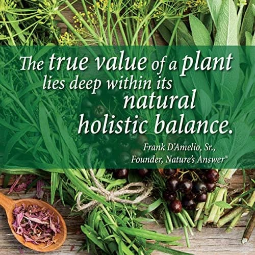 Nature's Answer Schisandra Berry 1oz | Alcohol-Free, Gluten-Free Herbal Supplement for Stress & Fatigue thumbnail 4