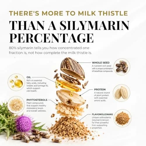 Eclectic Organic Milk Thistle Capsules 240 CT | Liver Support & Detox with Organic Ingredients thumbnail 3