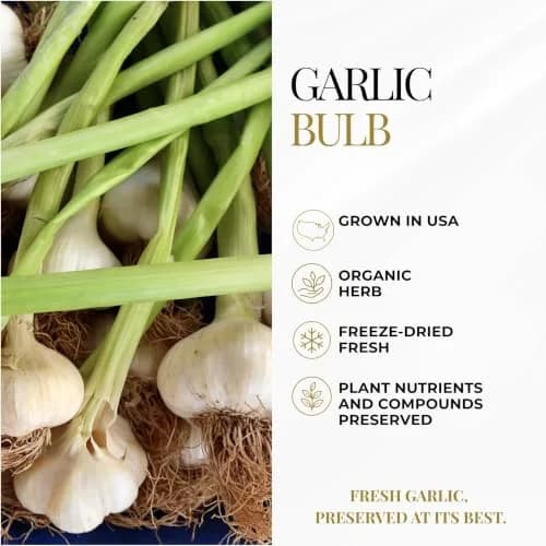 ECLECTIC INSTITUTE Garlic Capsules 90 CT | Heart & Immune Support, US-Imported thumbnail 5