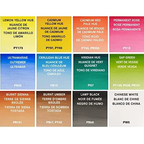 Winsor & Newton Cotman Watercolor Paint Set, Palette Pocket Set, 12 Half Pans with Brush | Artist Grade Watercolors thumbnail 5