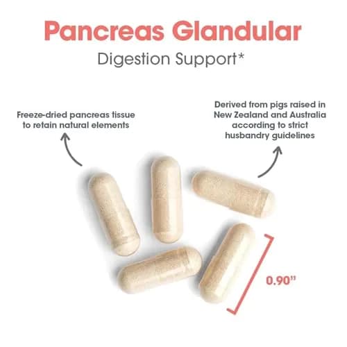 Allergy Research Group Pancreas Pork, Freeze Dried Digestive, 60 Count | Supports Digestive Enzymes & Glandular Bioactivity thumbnail 4