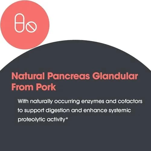Allergy Research Group Pancreas Pork, Freeze Dried Digestive, 60 Count | Supports Digestive Enzymes & Glandular Bioactivity thumbnail 6