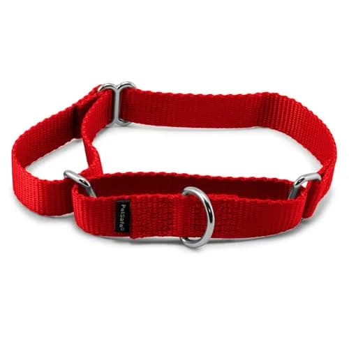PetSafe Martingale Dog Collar Red 1.9 cm (3/4 in) | Prevents Escape & Choke Risk thumbnail 1
