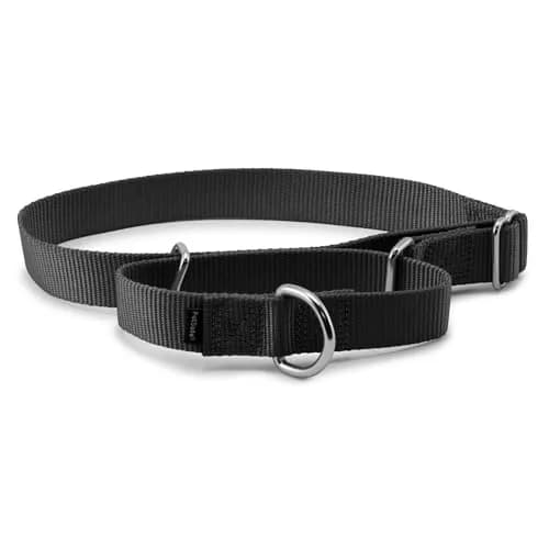 PetSafe Martingale Dog Collar, Black, 1 inch (2.54 cm) Width, Large | Prevents Escape & Offers Control thumbnail 1