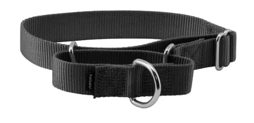 PetSafe Martingale Dog Collar, 1 in, Medium | Safe, Durable Nylon, US-Recommended Fit thumbnail 1