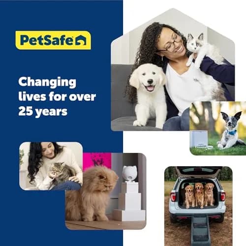 PetSafe Martingale Dog Collar, 1 in, Medium | Safe, Durable Nylon, US-Recommended Fit thumbnail 3