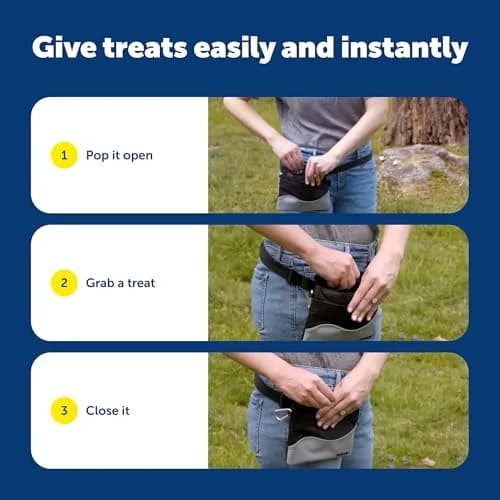 PetSafe Dog Treat Pouch Sport, Red, Standard, 7.5 in L x 6.5 in H | Waterproof, Durable & Easy to Clean thumbnail 6