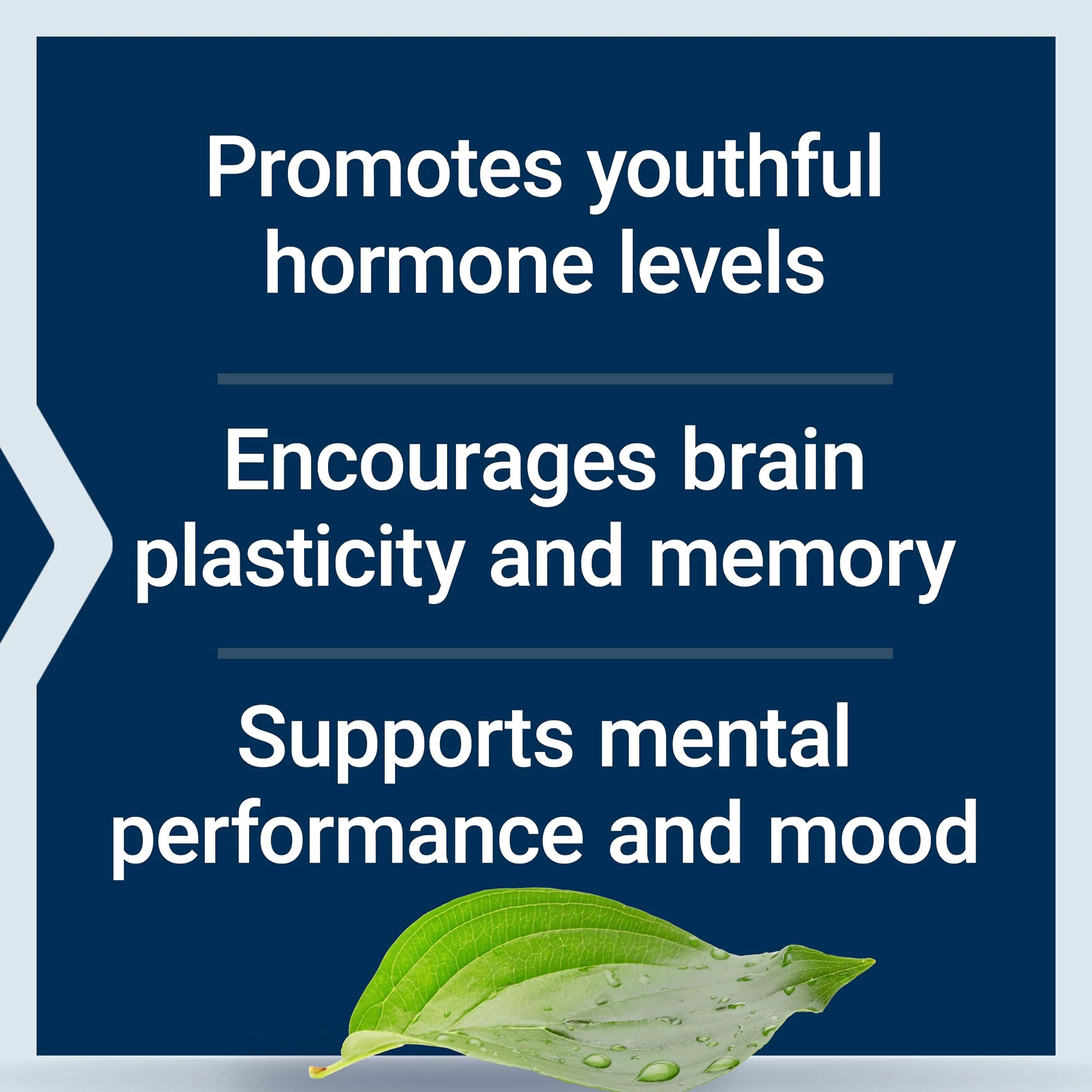 Life Extension Pregnenolone Hormone Balance Supplement 100 mg (100 Count) | Supports Cognitive Health & Mood - view 4
