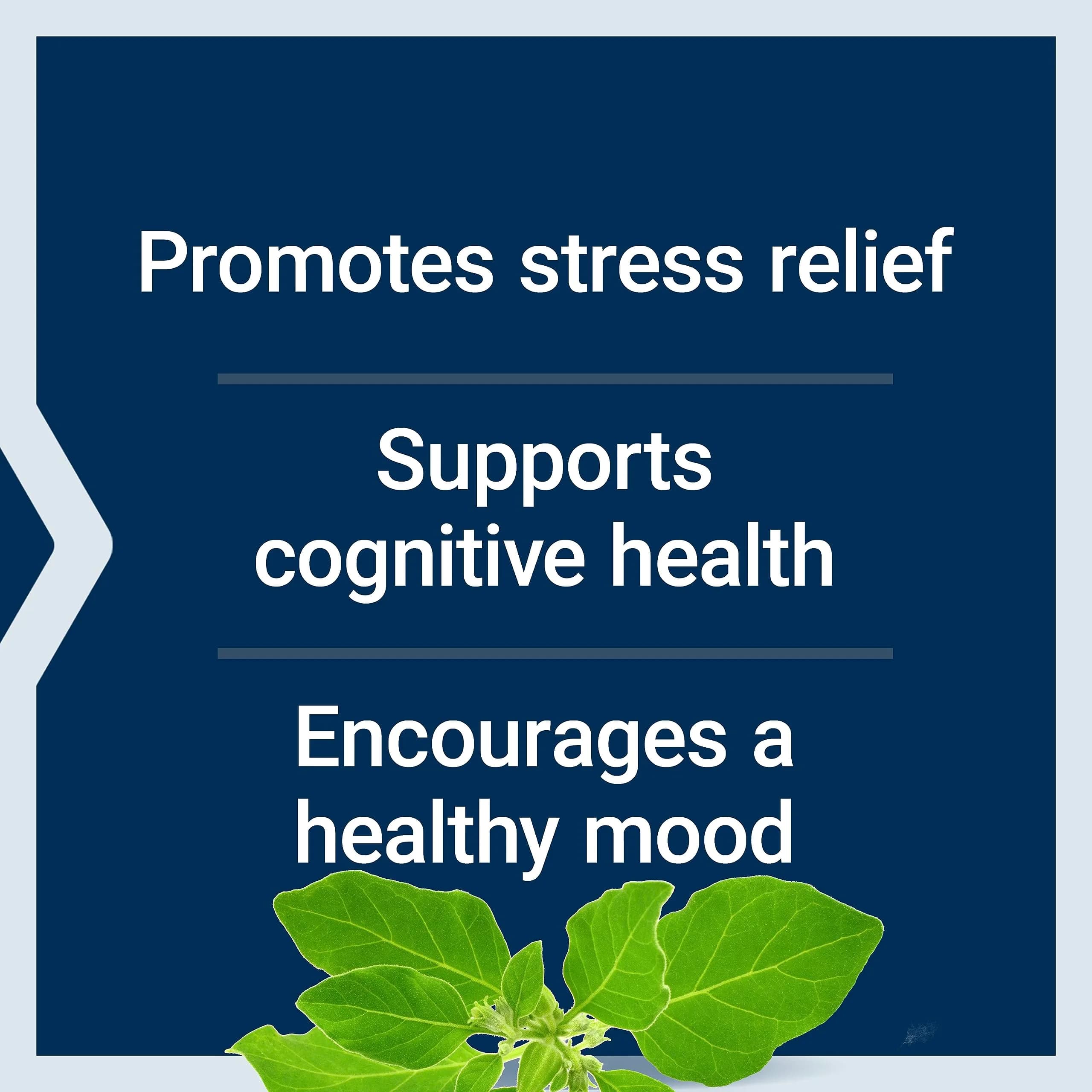 Life Extension Optimized Ashwagandha Capsules 60 Count | Stress Management Supplement for Healthy Stress Response, Focus, Memory, Mood Support - view 4