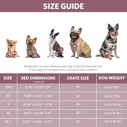 QuietTime by MidWest Bolster Dog Crate Bed Medium 30-Inch 73cm x 51cm x 9cm Fashion Pink | Cozy All-Season Comfort thumbnail 6