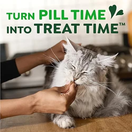 Greenies Feline Pill Pockets Salmon Flavor Cat Treats 1.6 oz (45 Count) | Vet-Recommended Pill Hiding thumbnail 8