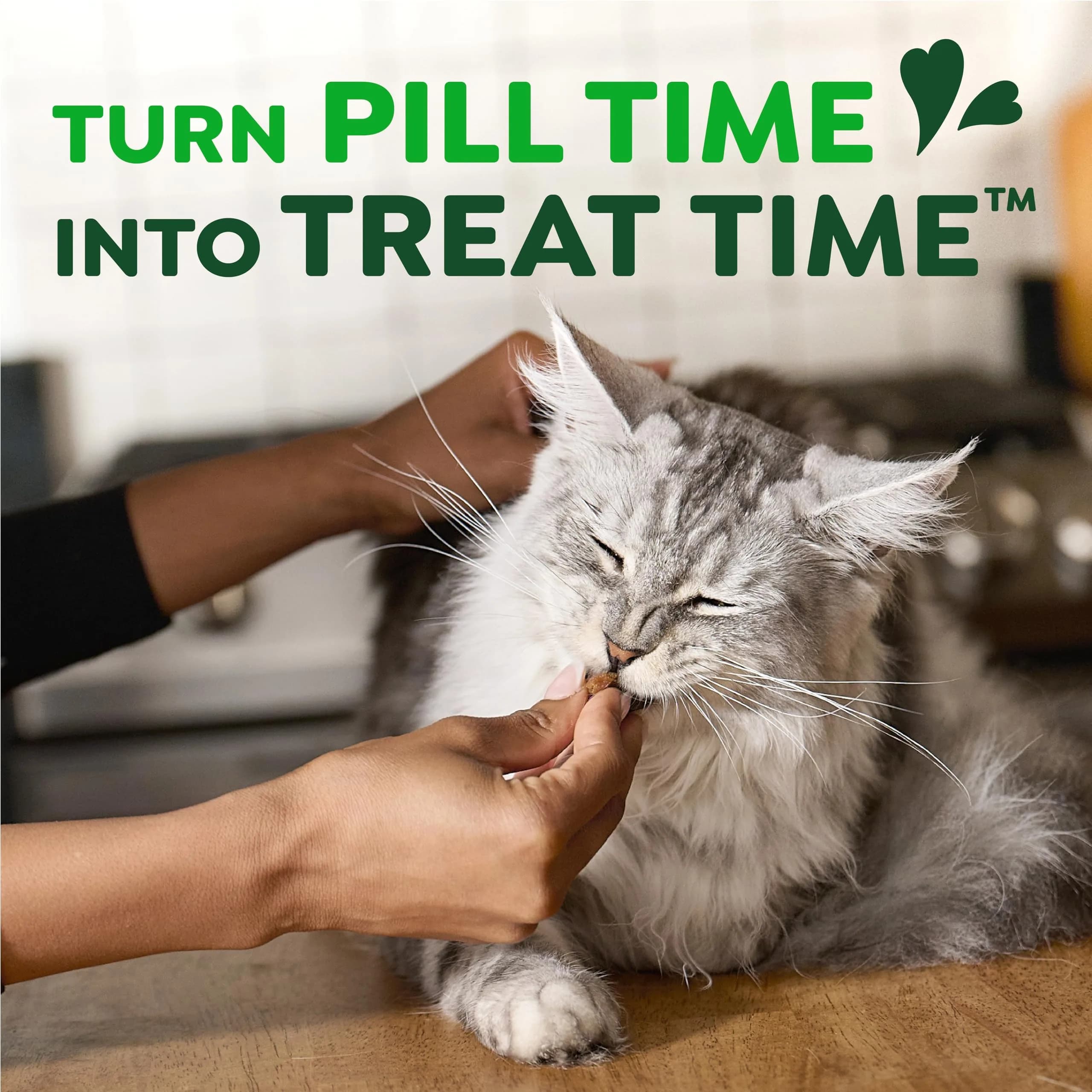 Greenies Feline Pill Pockets Salmon Flavor Cat Treats 1.6 oz (45 Count) | Vet-Recommended Pill Hiding - view 8