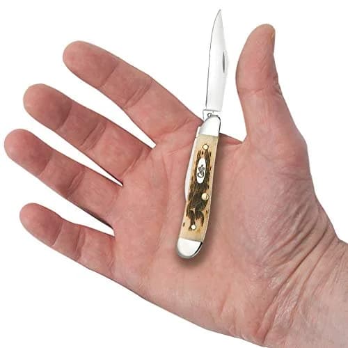 Case Pocket Knife Amber Bone Peanut 2 7/8 Inches | Durable, Compact & Made in USA thumbnail 6
