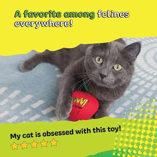 Yeowww! Catnip Apple Cat Toy 4 inch | 100% Organic Catnip, Crinkly Stem & Leaf thumbnail 5