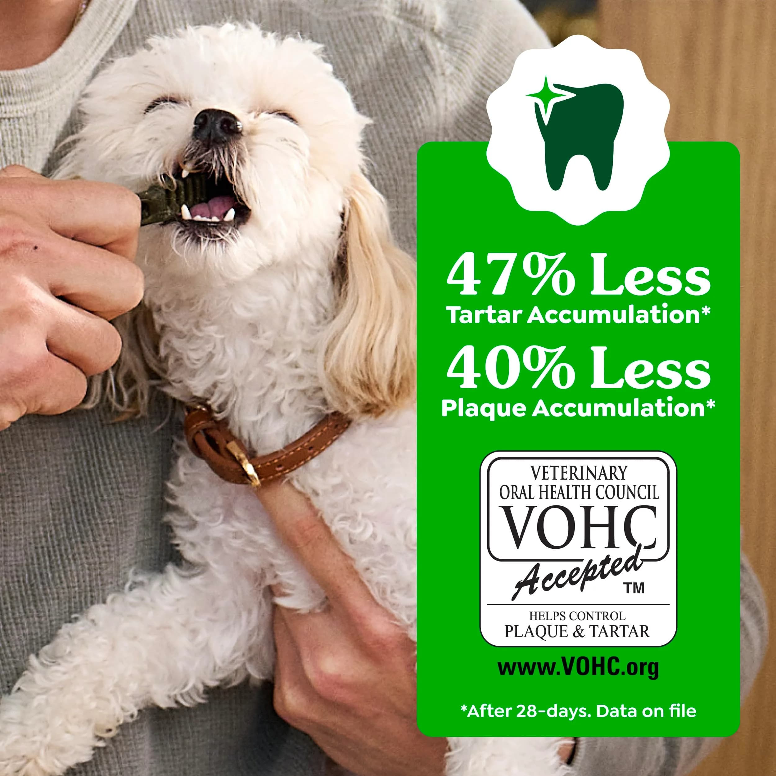 Greenies Teenie Original Dental Dog Treats, Chicken, 43 Count (12 oz / 340 g) | Veterinarian-Recommended for Small Dogs - view 5
