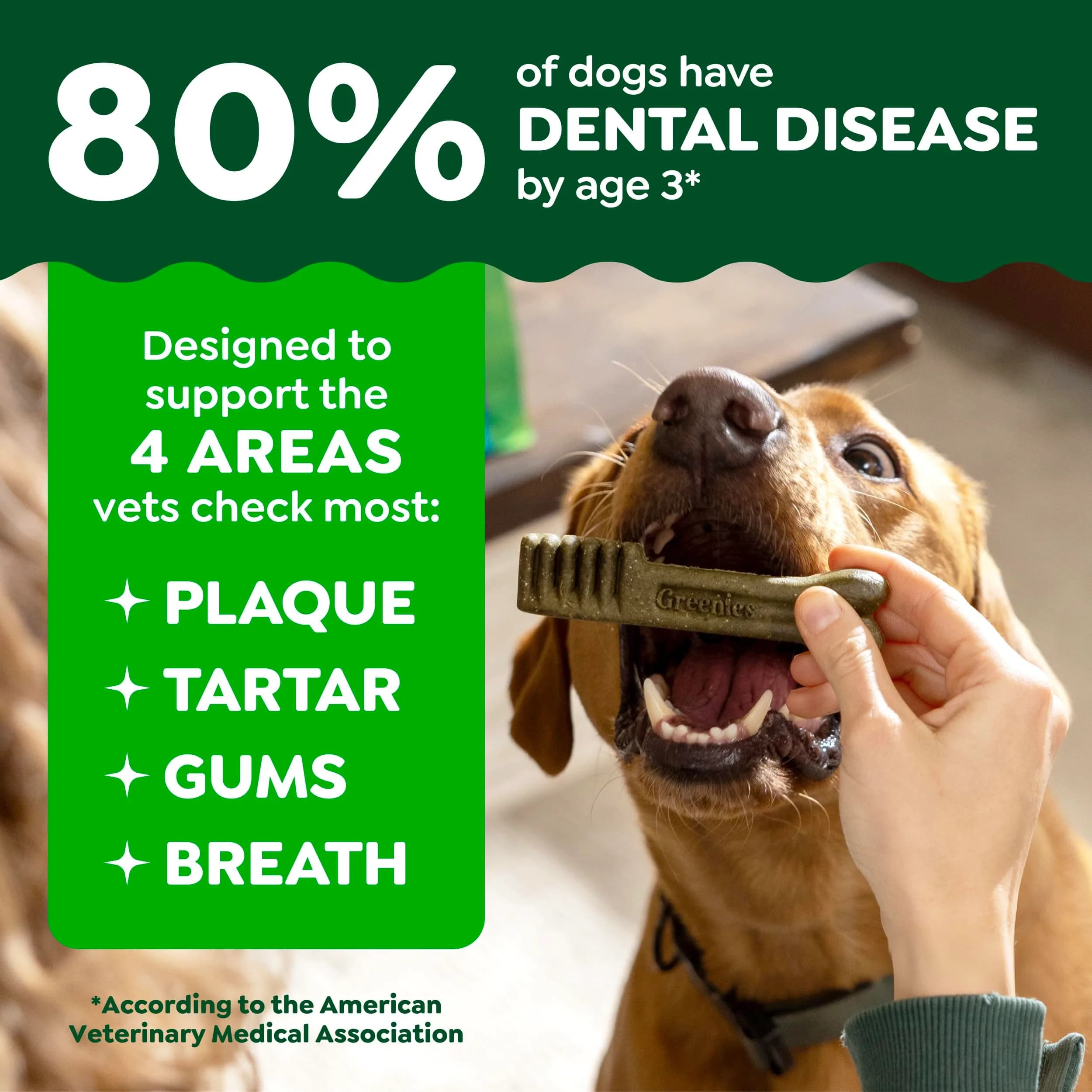 Greenies Teenie Original Dental Dog Treats, Chicken, 43 Count (12 oz / 340 g) | Veterinarian-Recommended for Small Dogs - view 3