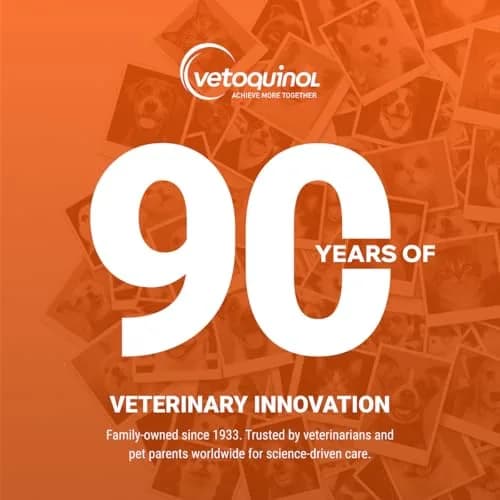 Vetoquinol Epakitin Phosphate Binder for Cats and Dogs | Supports Kidney Health, 300 g thumbnail 7