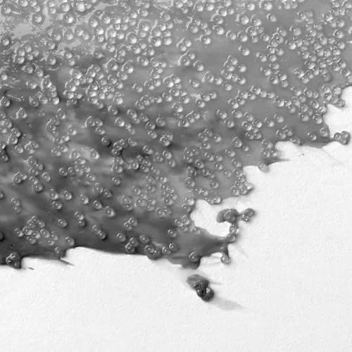 Liquitex Effects Medium 237ml | Glass Beads for Textured Art & Effects thumbnail 2