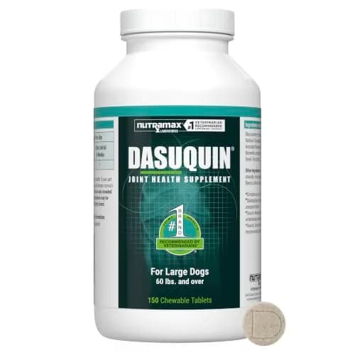 Nutramax Dasuquin Large Dog Joint Supplement Chewable Tablets 150ct (680g) | Vet Recommended for Joint Health thumbnail 1