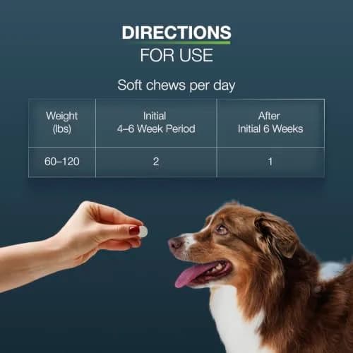 Nutramax Dasuquin Large Dog Joint Supplement Chewable Tablets 150ct (680g) | Vet Recommended for Joint Health thumbnail 9