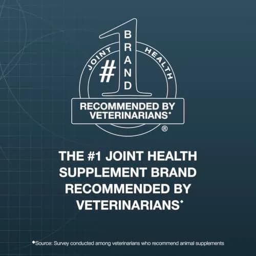 Nutramax Dasuquin Large Dog Joint Supplement Chewable Tablets 150ct (680g) | Vet Recommended for Joint Health thumbnail 2
