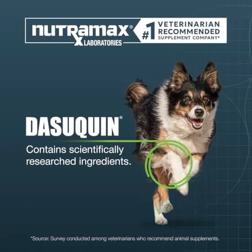 Nutramax Dasuquin Large Dog Joint Supplement Chewable Tablets 150ct (680g) | Vet Recommended for Joint Health thumbnail 3