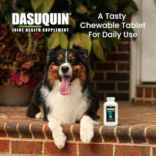 Nutramax Dasuquin MSM Joint Supplement for Large Dogs, 150 Chewable Tablets | Vet Recommended Canine Mobility Support thumbnail 4