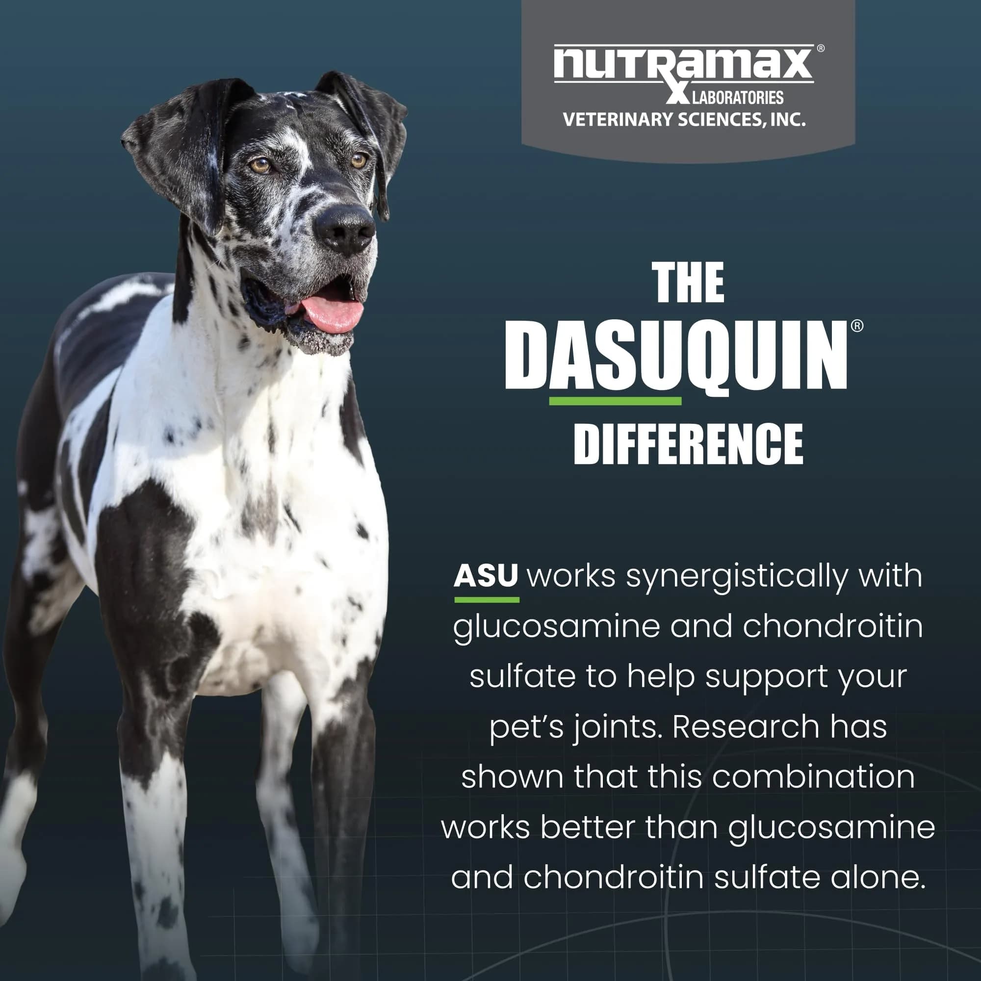 Nutramax Dasuquin MSM Joint Supplement for Large Dogs, 150 Chewable Tablets | Vet Recommended Canine Mobility Support - view 6