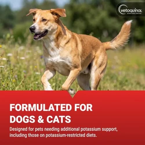 Vetoquinol Renal K, Potassium Powder for Dogs and Cats, 3.5 oz | Supports Kidney & Muscle Health thumbnail 4