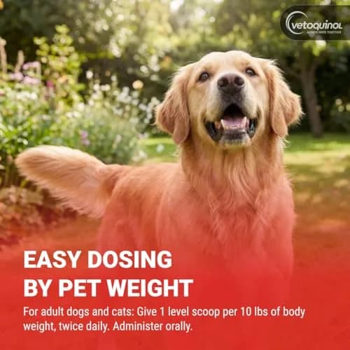 Vetoquinol Renal K, Potassium Powder for Dogs and Cats, 3.5 oz | Supports Kidney & Muscle Health thumbnail 5