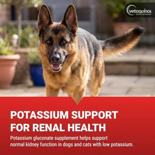 Vetoquinol Renal K, Potassium Powder for Dogs and Cats, 3.5 oz | Supports Kidney & Muscle Health thumbnail 2