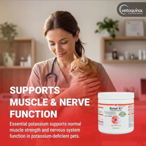 Vetoquinol Renal K, Potassium Powder for Dogs and Cats, 3.5 oz | Supports Kidney & Muscle Health thumbnail 3
