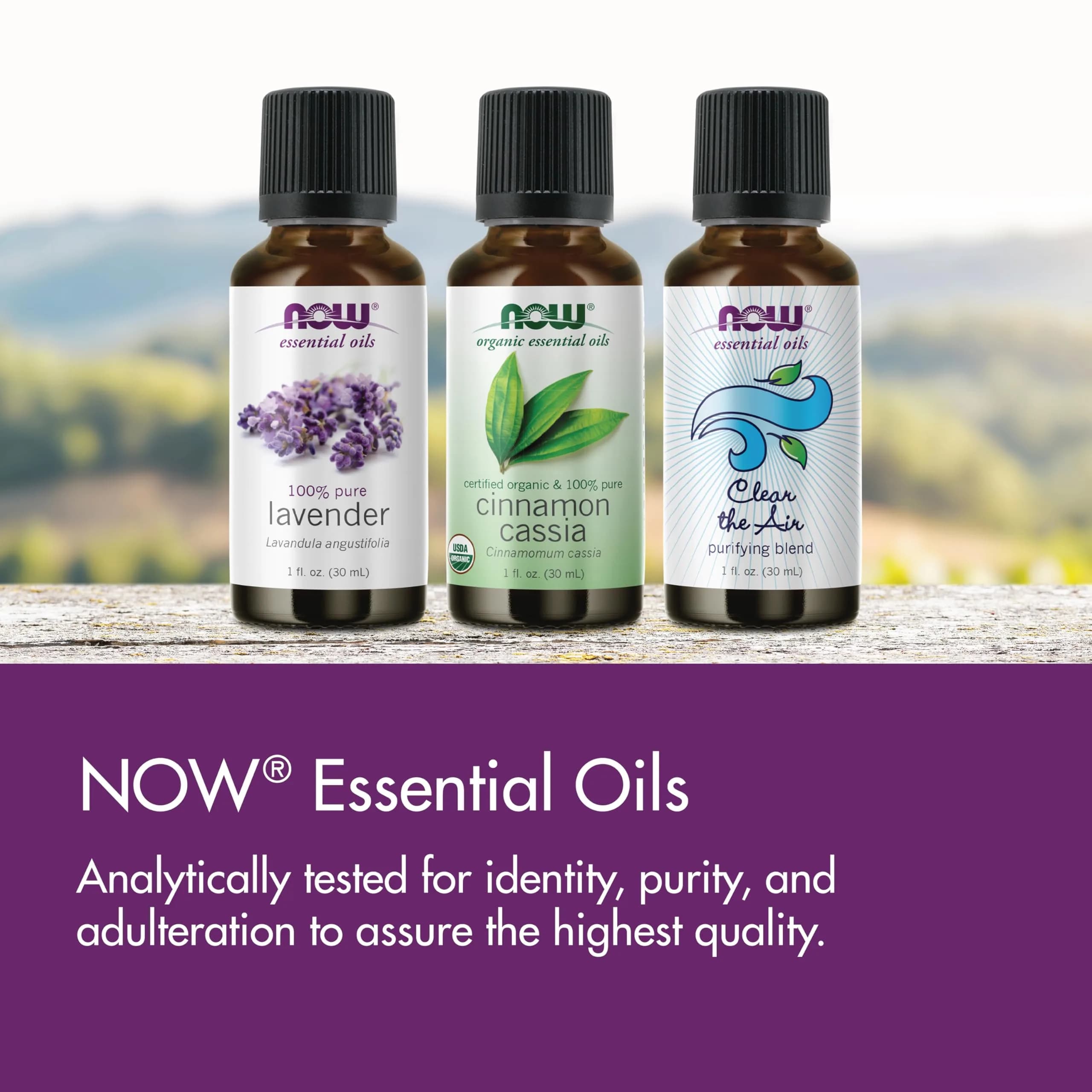 NOW Foods Rosemary Essential Oil 29.57ml (1 fl. oz) | Steam Distilled, Undiluted, Uplifting Aroma - view 7