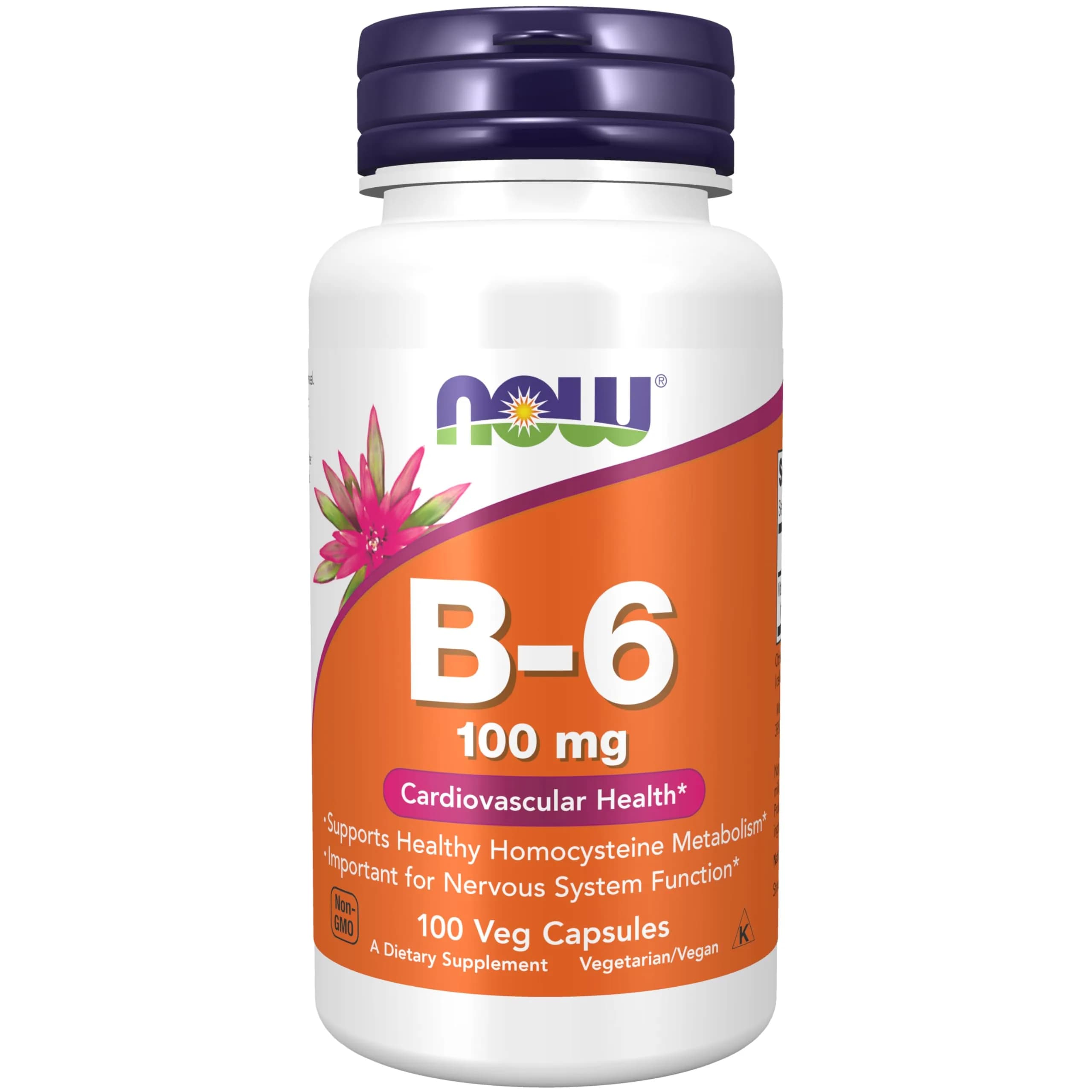 Now Foods B-6 100mg 100 Capsules | Supports Nervous System & Metabolism — No Color