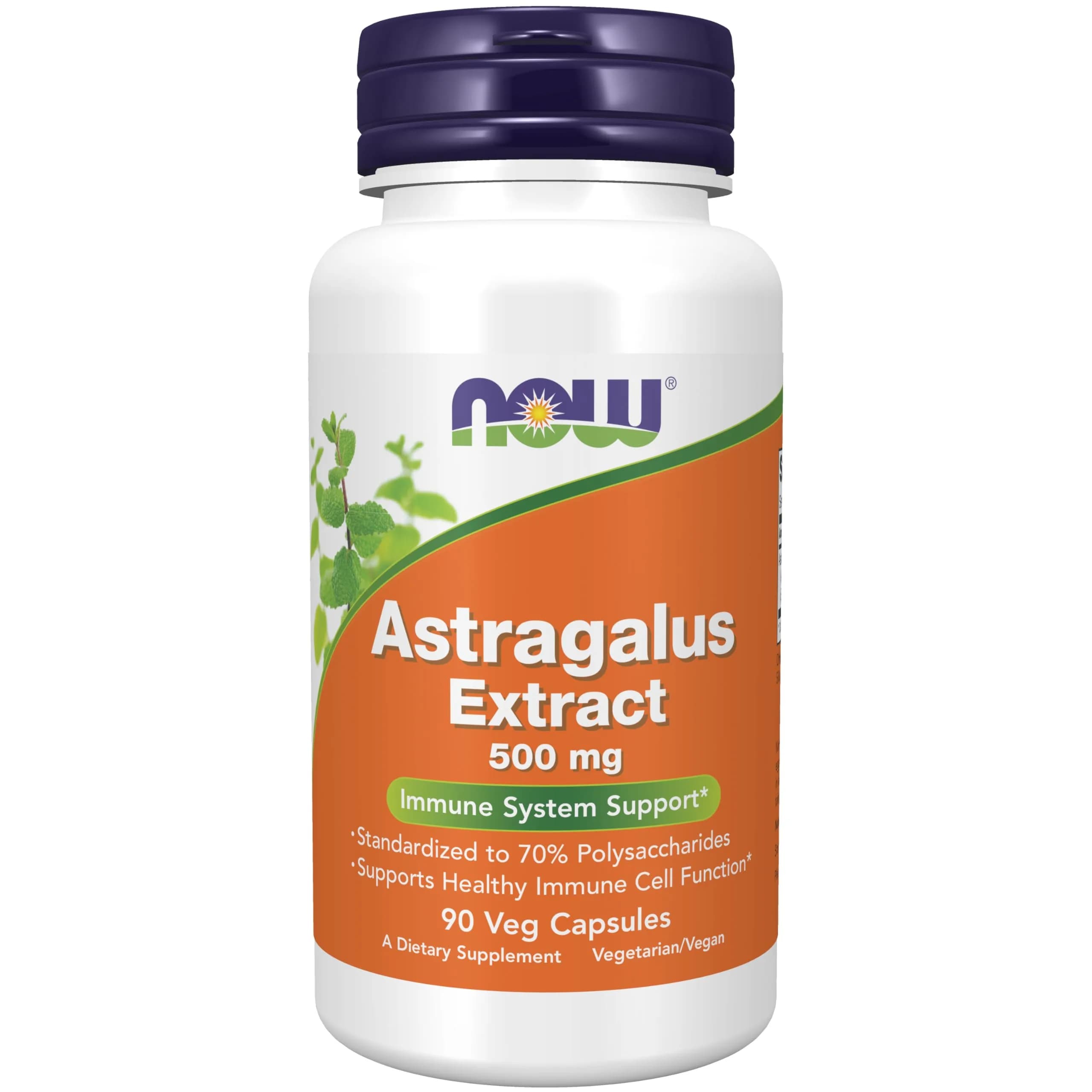 NOW Foods Astragalus Extract Immune Support 500 mg (156 g / 0.35 oz) | Standardized to 70% Polysaccharides - main product image